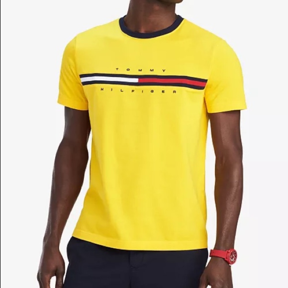 🐝Tommy Hilfiger Men’s Tino logo T-Shirt 🐝